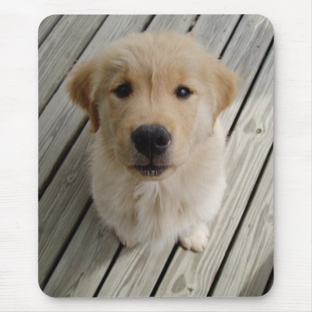 Golden retrieverwelpe mousepad (Vorne)