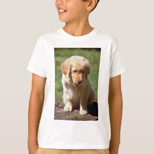 Golden retrieverwelpe T-Shirt
