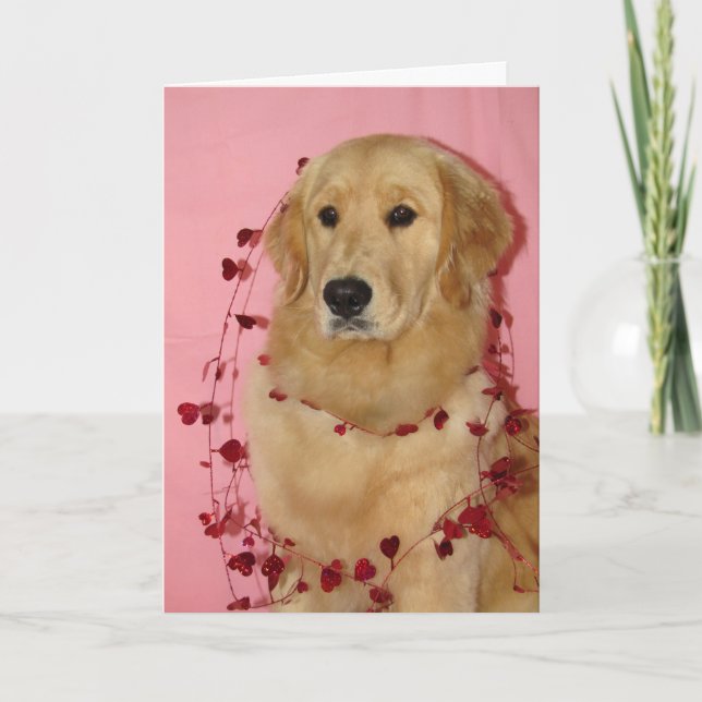 Golden Retriver Valentine's Day Card Karte (Vorderseite)