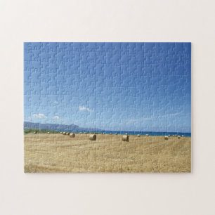 Golden Rolls of Hay and Deep Blue Sea Design