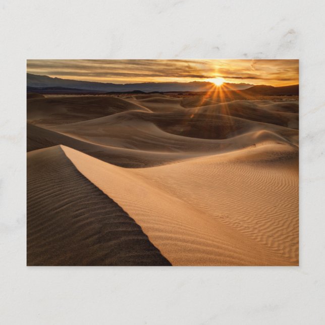 Golden Sand dunes, Death Valley, CA Postkarte (Vorderseite)