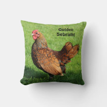 Golden Sebright Rooster - Bantam Pet Chicken