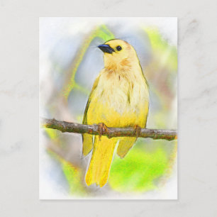 Golden Songbird Postkarte