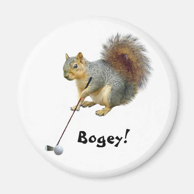 Golden Squirrel Magnet (Vorne)