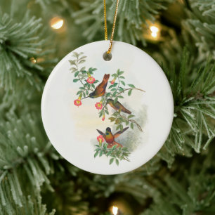 Golden Star-Frontlet, Baum Keramik Ornament