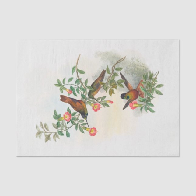 Golden Star frontlet, Decoupage Seidenpapier (Vorderseite)