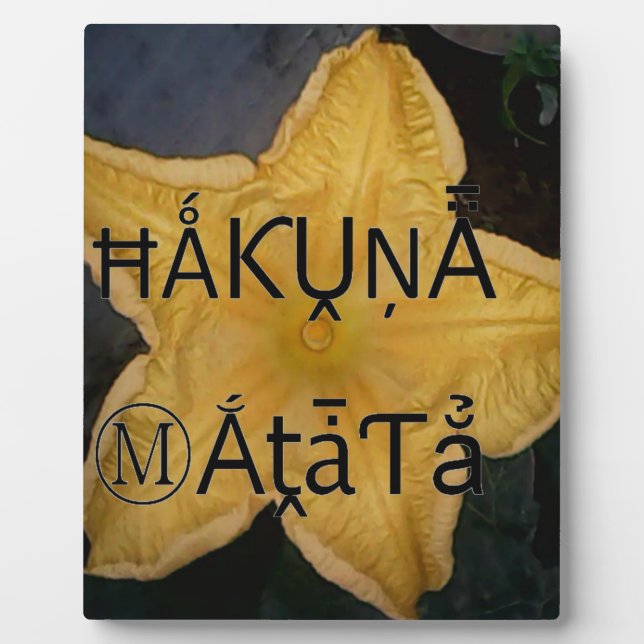 Golden Star Hakuna Matata Kunstdruckerei Fotoplatte (Vorderseite)