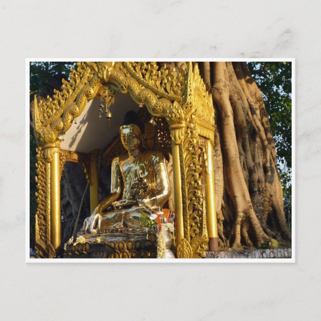 golden stupa buddha postkarte (Vorderseite)