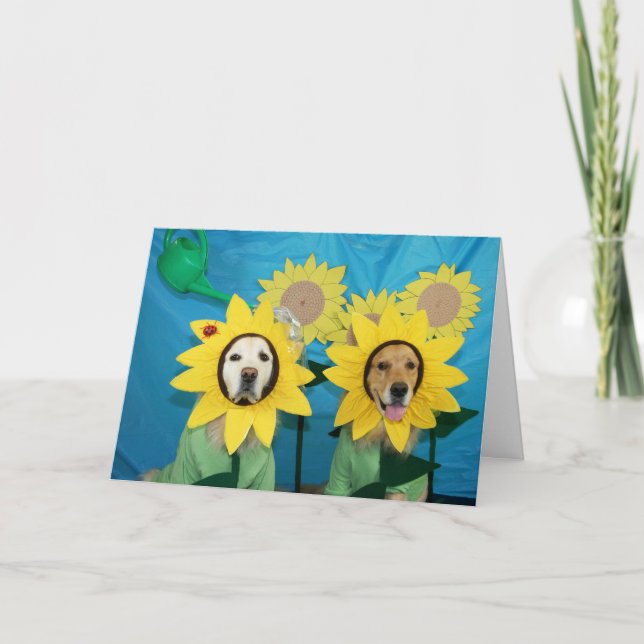 Golden Sunflower Herzlichen Glückwunsch Karte (Vorderseite)
