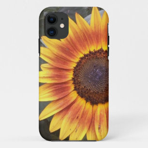 Golden Sunflower iPhone 5 Gehäuse Case-Mate iPhone Hülle