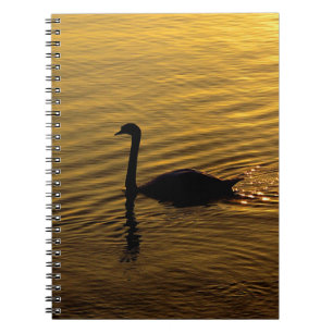 Golden Swan Notizblock