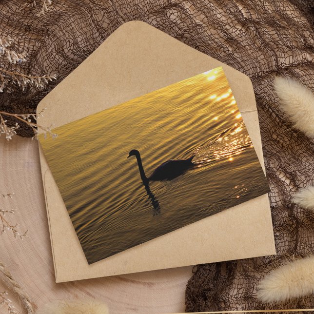 Golden Swan Paper (Von Creator hochgeladen)