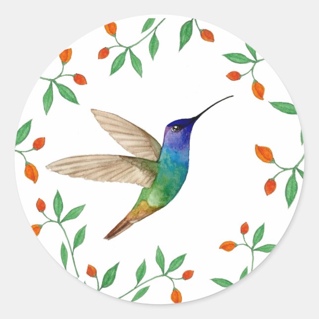 Golden-tailed Sapphire Hummingbird Blank Runder Aufkleber (Vorderseite)