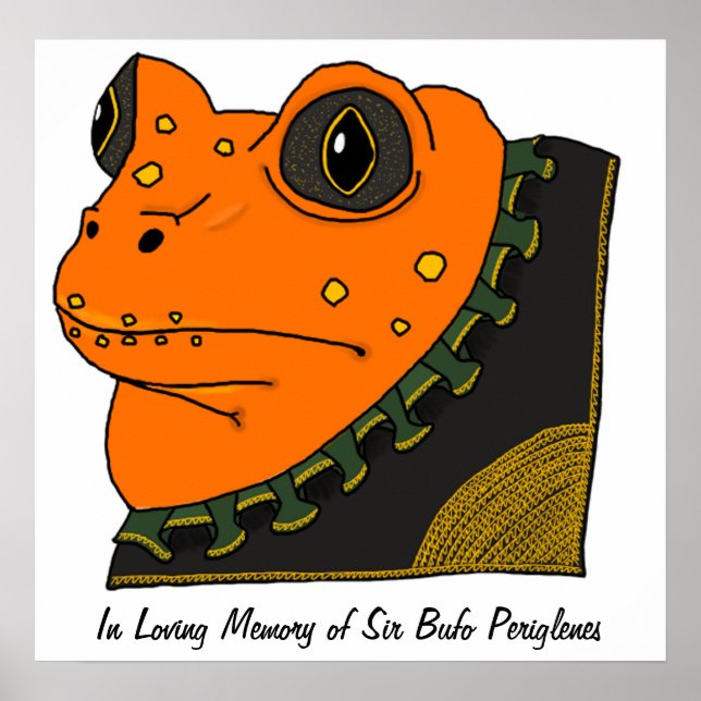 Golden Toad Memorial Poster (Vorne)
