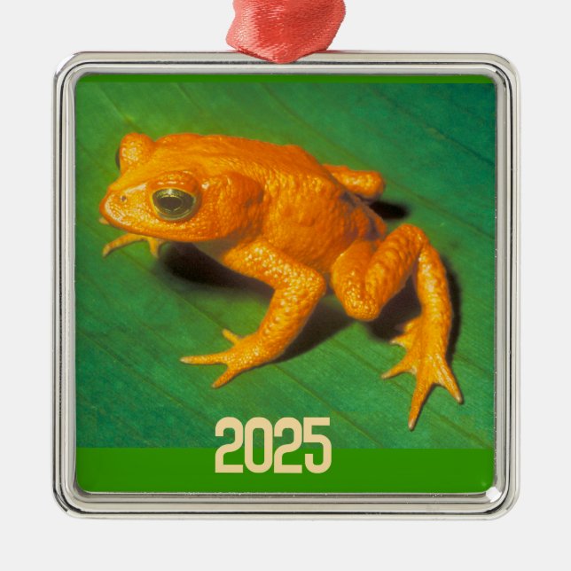 Golden Toad Ornament (Vorne)