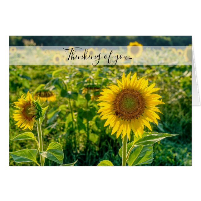 Golden Tournesol En Pensant À Votre Carte (Devant Horizontal)