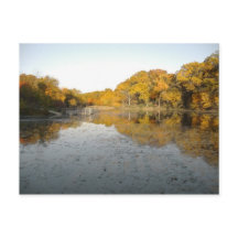 Golden Trees and Pond ... Mein Foto vom Herbst 200