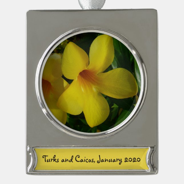 Golden Trumpet Blume II Tropical Banner-Ornament Silber (Vorderseite)