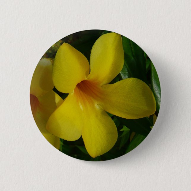 Golden Trumpet Blume II Tropical Button (Vorderseite)