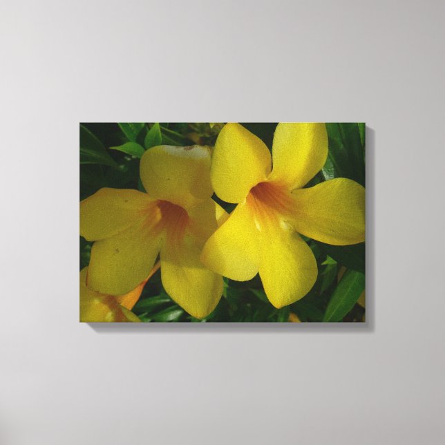 Golden Trumpet Blume II Tropical Leinwanddruck (Vorderseite)