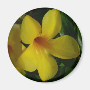 Golden Trumpet Blume II Tropical Magnet