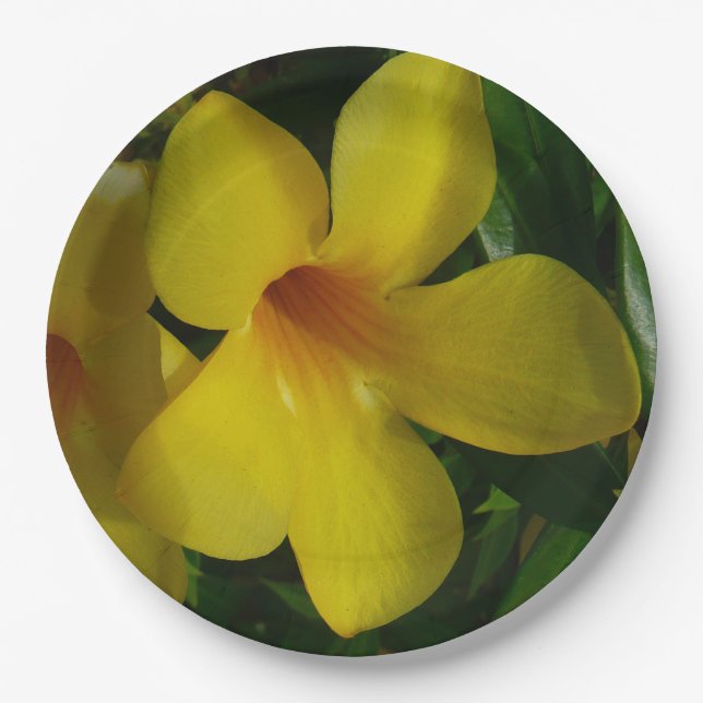 Golden Trumpet Blume II Tropical Pappteller (Vorderseite)