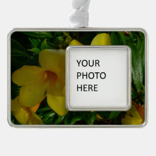 Golden Trumpet Blume II Tropical Rahmen-Ornament Silber