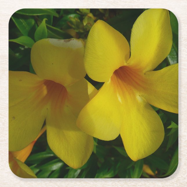 Golden Trumpet Blume II Tropical Rechteckiger Pappuntersetzer (Vorderseite)