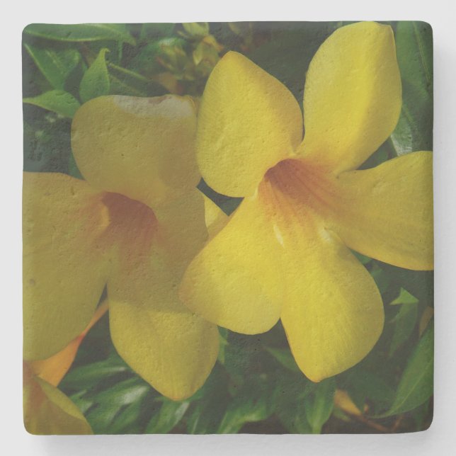 Golden Trumpet Blume II Tropical Steinuntersetzer (Vorderseite)