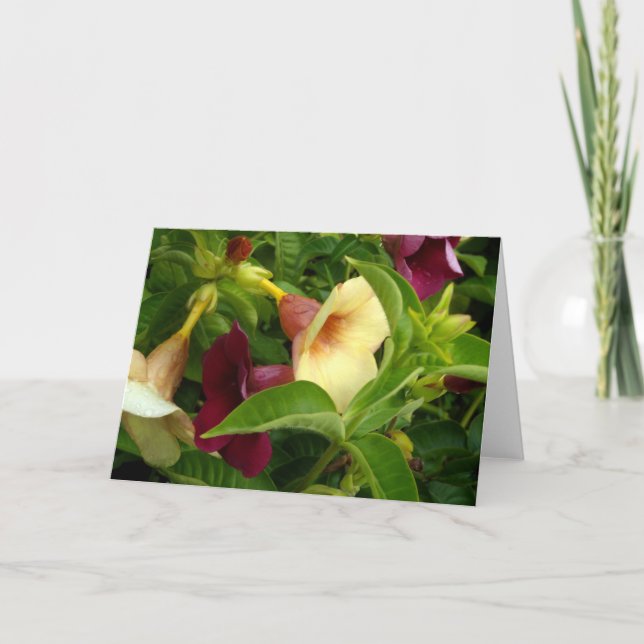 Golden Trumpet Karte (Vorderseite)