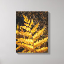 Golden Yellow Fern Herbstlaubs