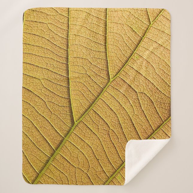 Golden yellow leaf pattern in the morning.  sherpadecke (Vorderseite)