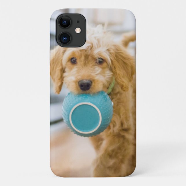 Goldendoodal Carry Dinner Bowl Case-Mate iPhone Hülle (Rückseite)