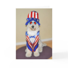 Goldendoodale patriotische Karte