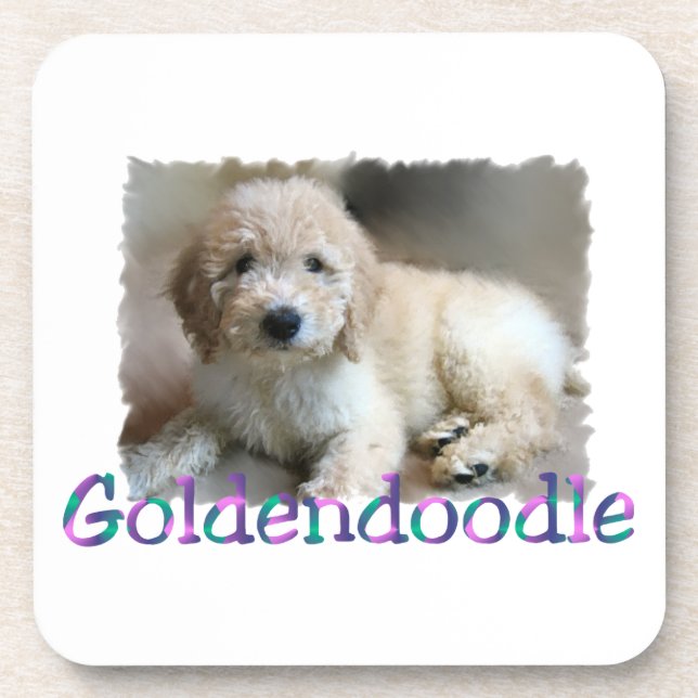 Goldendoodle Art Getränkeuntersetzer (Vorderseite)