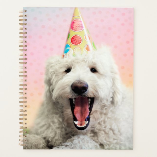 Goldendoodle avec Casquette du parti (Devant)