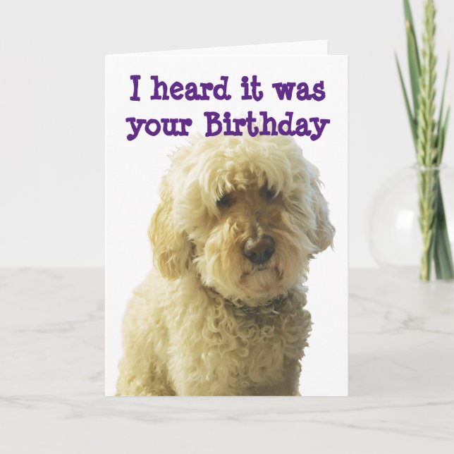 GoldenDoodle, Birthday Doodle wünscht Karte (Vorderseite)
