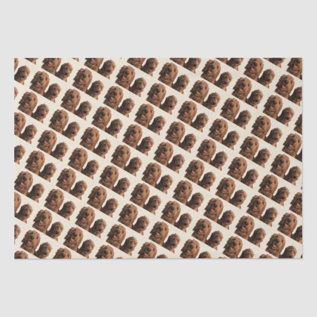 Goldendoodle Brothers Seidenpapier (Vorderseite)