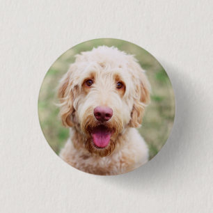 Goldendoodle Button