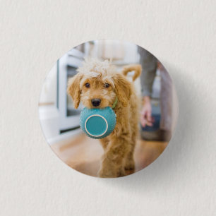 Goldendoodle Carry Dinner Bowl Button