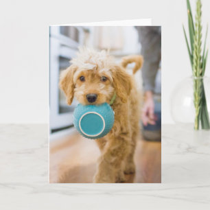 Goldendoodle Carry Dinner Bowl Karte
