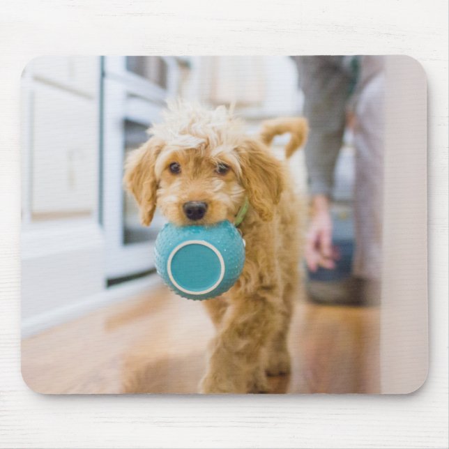 Goldendoodle Carry Dinner Bowl Mousepad (Vorne)