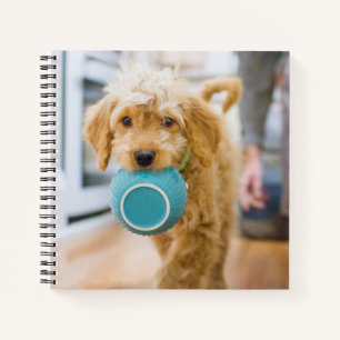 Goldendoodle Carry Dinner Bowl Notizbuch