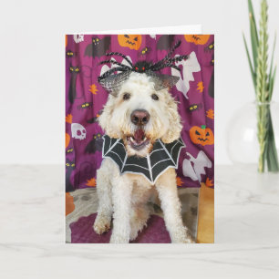 Goldendoodle chien Carte Halloween