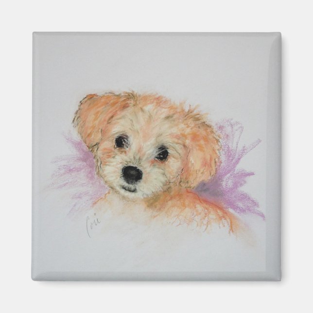 Goldendoodle Chien Chien Chien Chien Magnet (Devant)