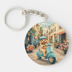 Goldendoodle Chien Conduisant Trottinette Rues Eur