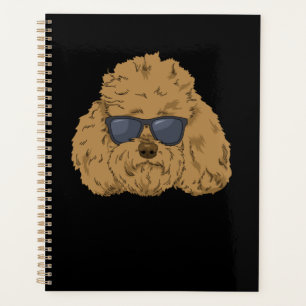 Goldendoodle Dog Doodle Mama gibt Vater Labradoodl Planer
