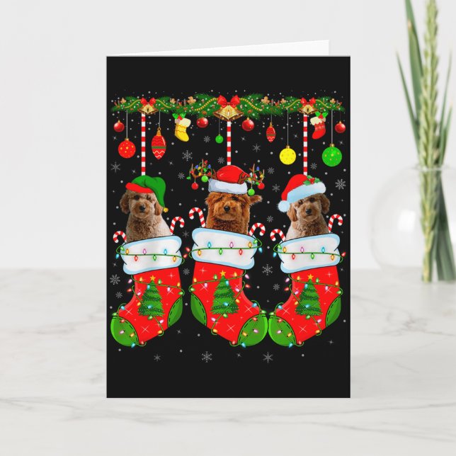 Goldendoodle Dog In Christmas Socks Funny Pet Dog  Karte (Vorderseite)