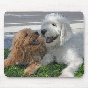 Goldendoodle Freund-Mausunterlage Mousepad