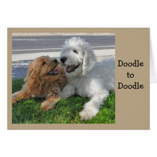 Goldendoodle friends